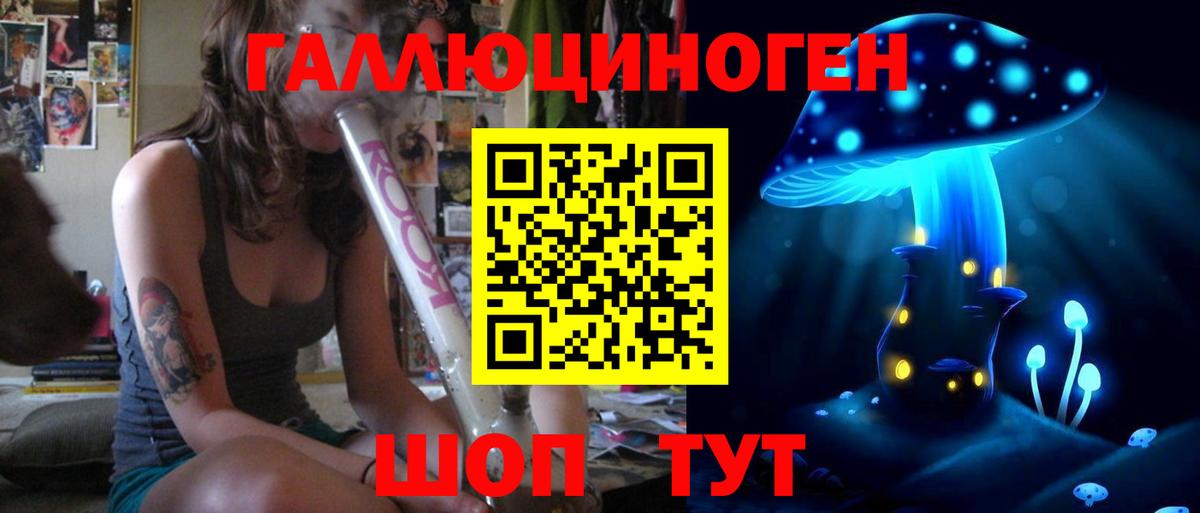Псилоцибиновые грибы Psilocybe Ярославль
