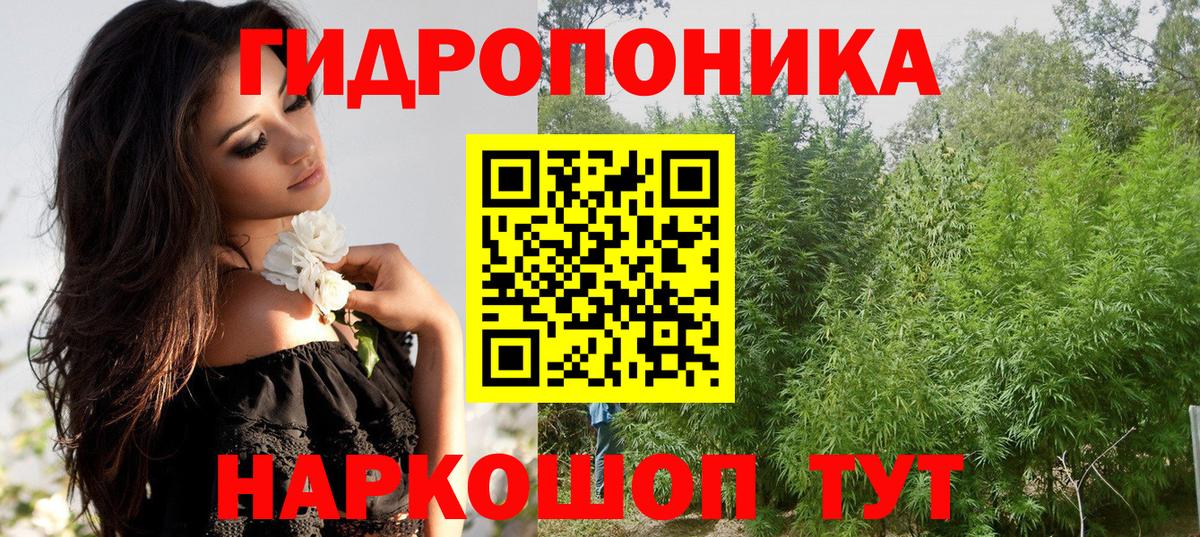 Ярославль  Канабис SATIVA & INDICA  Бошки Шишки гибрид  Вход с VPN  Канабис Ganja 